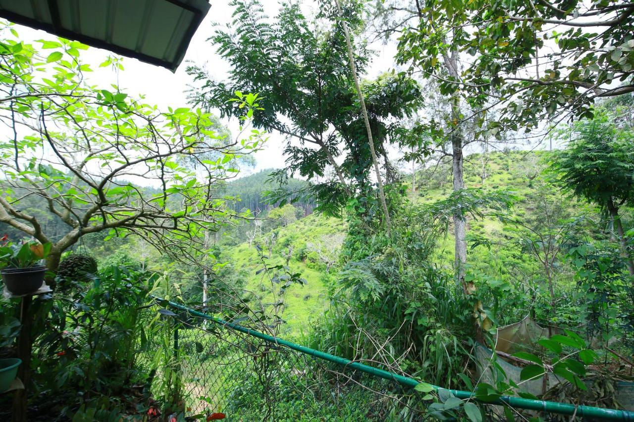 Nature Relax إيلا المظهر الخارجي الصورة