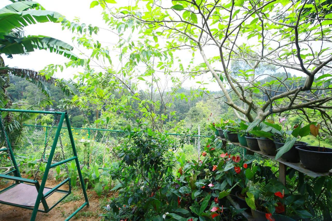 Nature Relax إيلا المظهر الخارجي الصورة